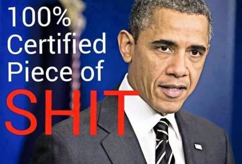 12308780_1641663662753355_8784339806804029343_n