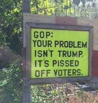 12347830_798990480210768_861324354307777366_n