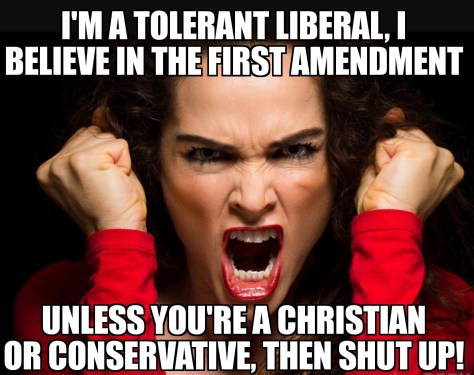 liberal1stamendment1